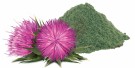 Pokusa Milk thistle 120 Tabletter thumbnail