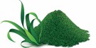 Pokusa Spirulina 120 tabletter thumbnail